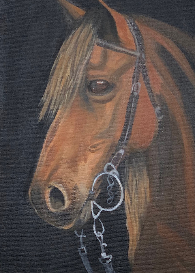 Beautiful bay horse painting of Alexandra


