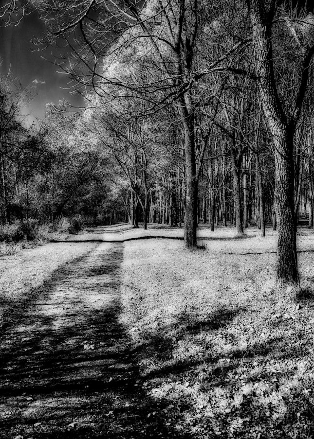 Pathway in Infrared