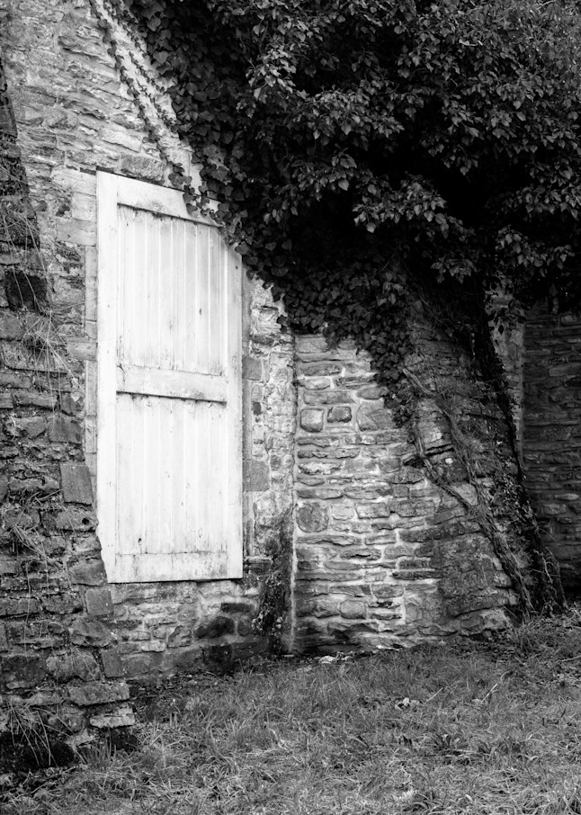 Door Through the Stone Wall, Rouge Cloître, Auderghem, Belgium, 2022