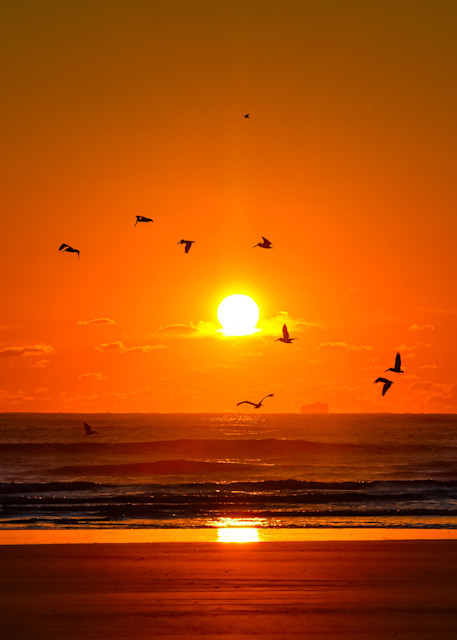 Pelican Sunrise Photography Art | photo4change