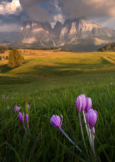 Dolomites Summer Photography Art | photo4change