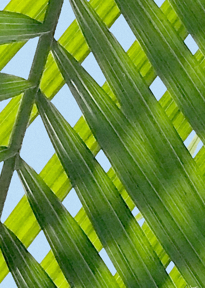 Palms Art | allenhansen