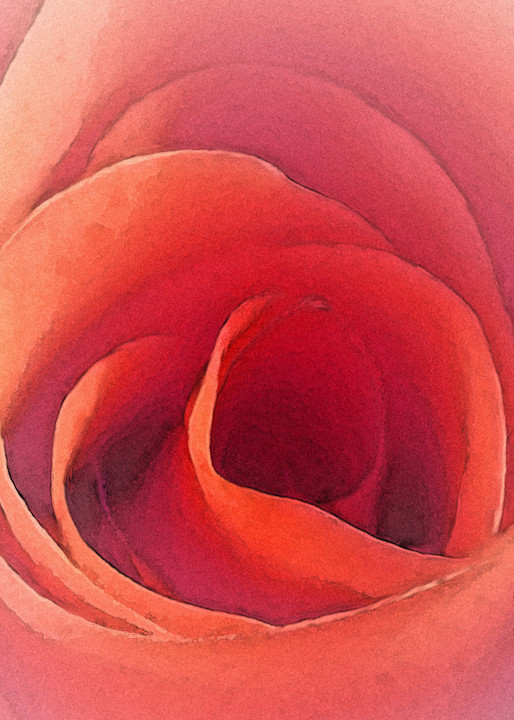 Rose Art | allenhansen