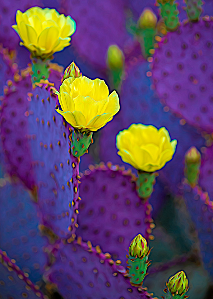 Santa Rita Prickly Pear #5 Psychedelic | Flowers Collection | CBParkerPhoto Art