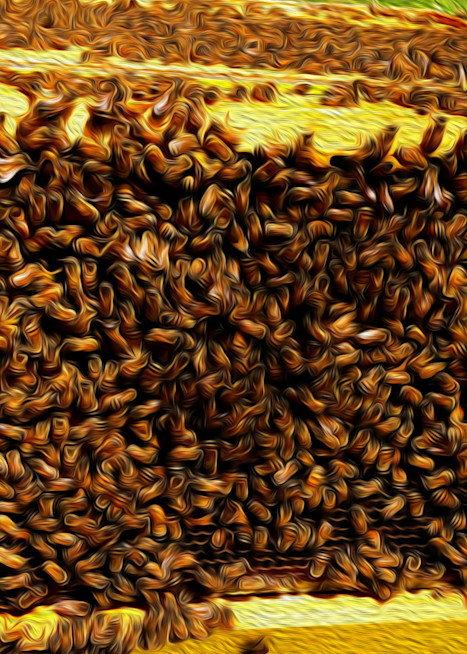 Honey Bees 4