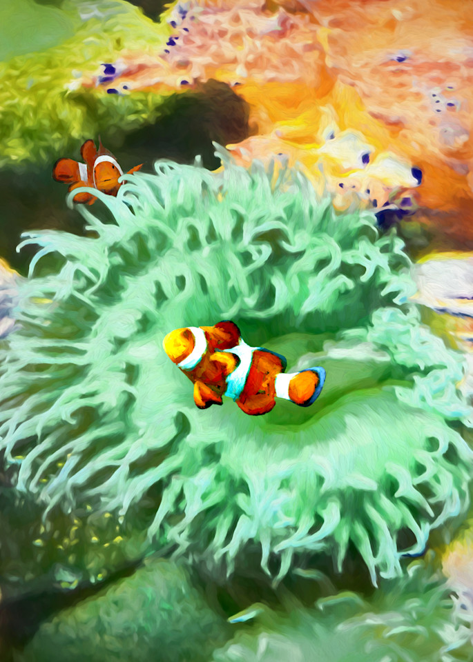 Clownfish Art | Light Pixie Studio