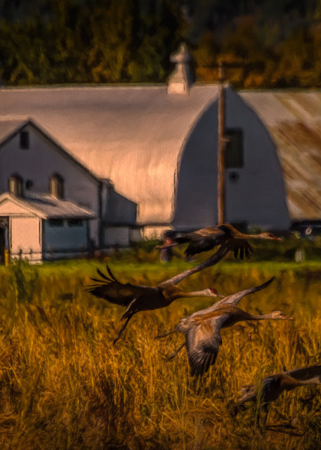 Cramers Field With Barn Photography Art | Eyes Wide Open Photography