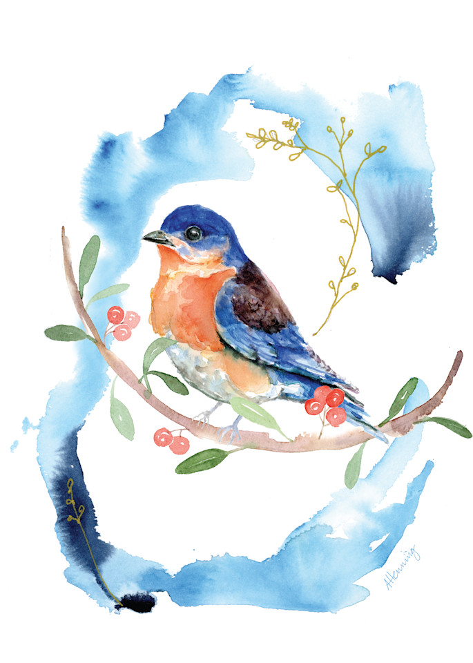 Western Bluebird Art | Andrea Henning Art