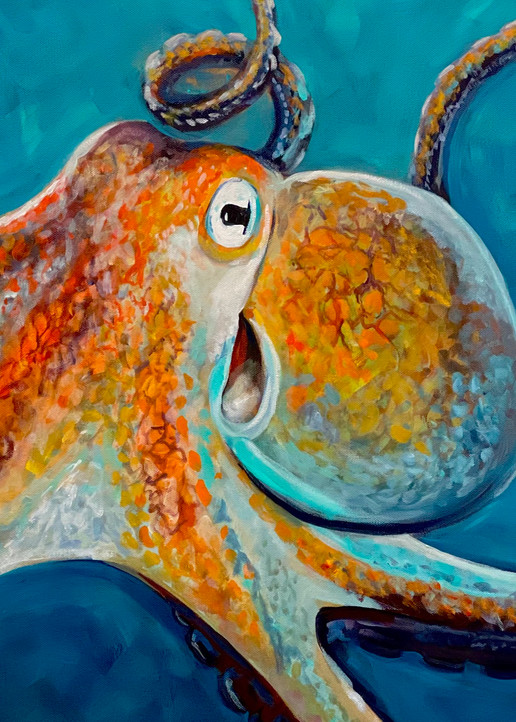 The Octopus Art | The Artwork of Tim Smith