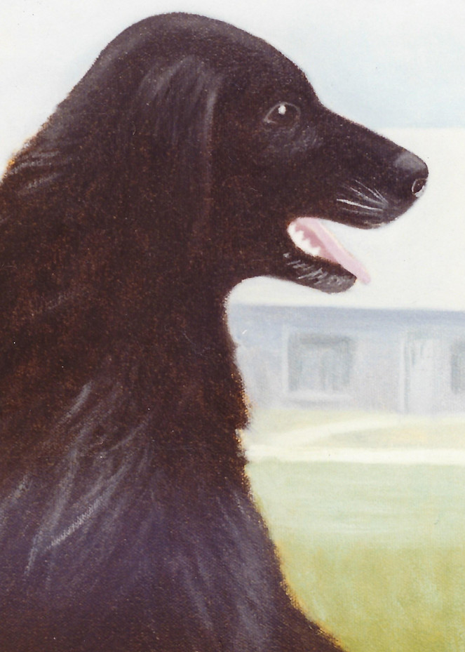 Portrait Of Dog Art | The Beltway Bandits Art Emporium