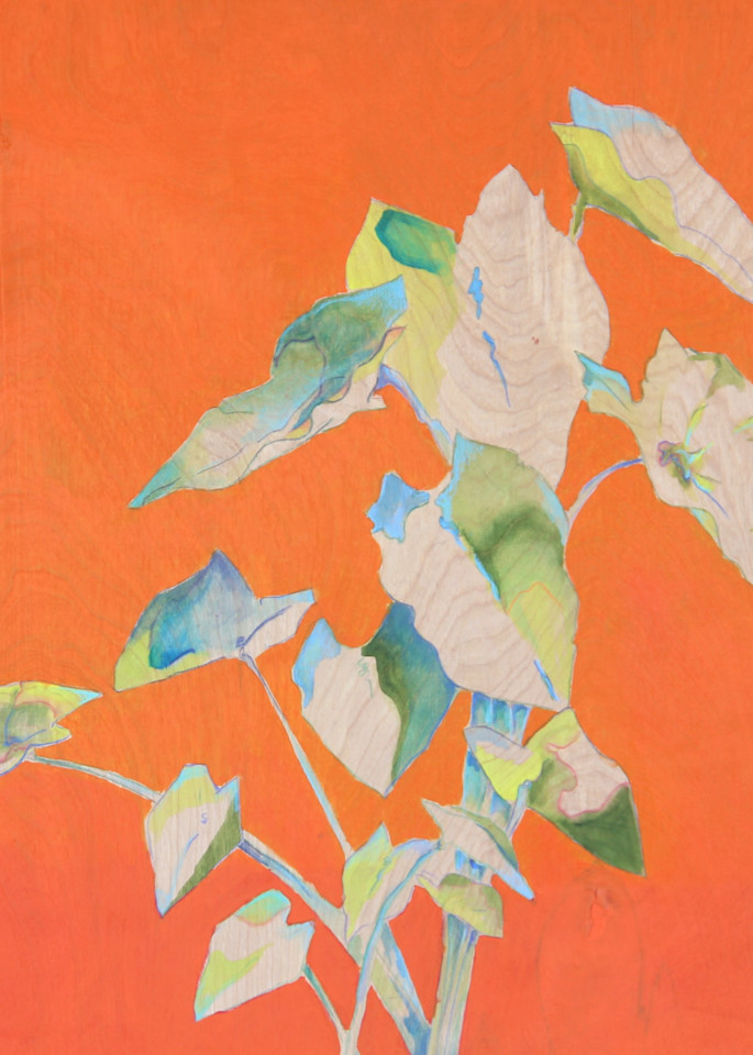 Orange Botanical Art | Betsy Hobkirk Art