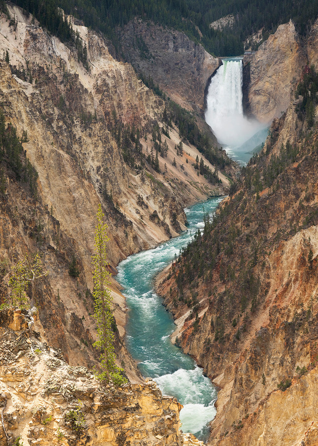 Constance Mier Photography - Yellowstone National Park