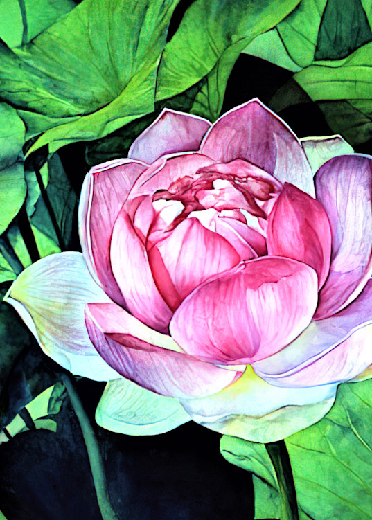 Watercolor Floral 4828 Art | Francine Warren Art