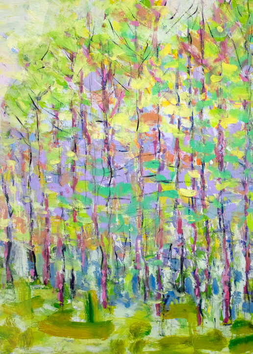 Trees In Spring  Art | John Sirois