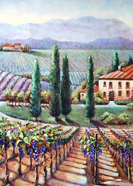 Tuscan Vineyard  Art | Geraldine Arata