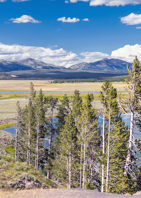 Tco Hayden Valley, Yellowstone N.P.  Art | Open Range Images