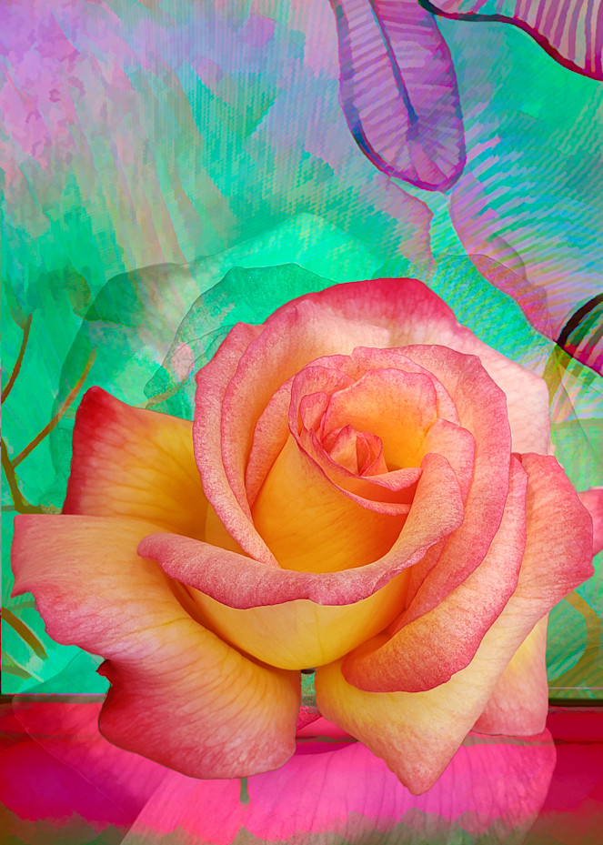 Mama's Rose Art | Light Pixie Studio