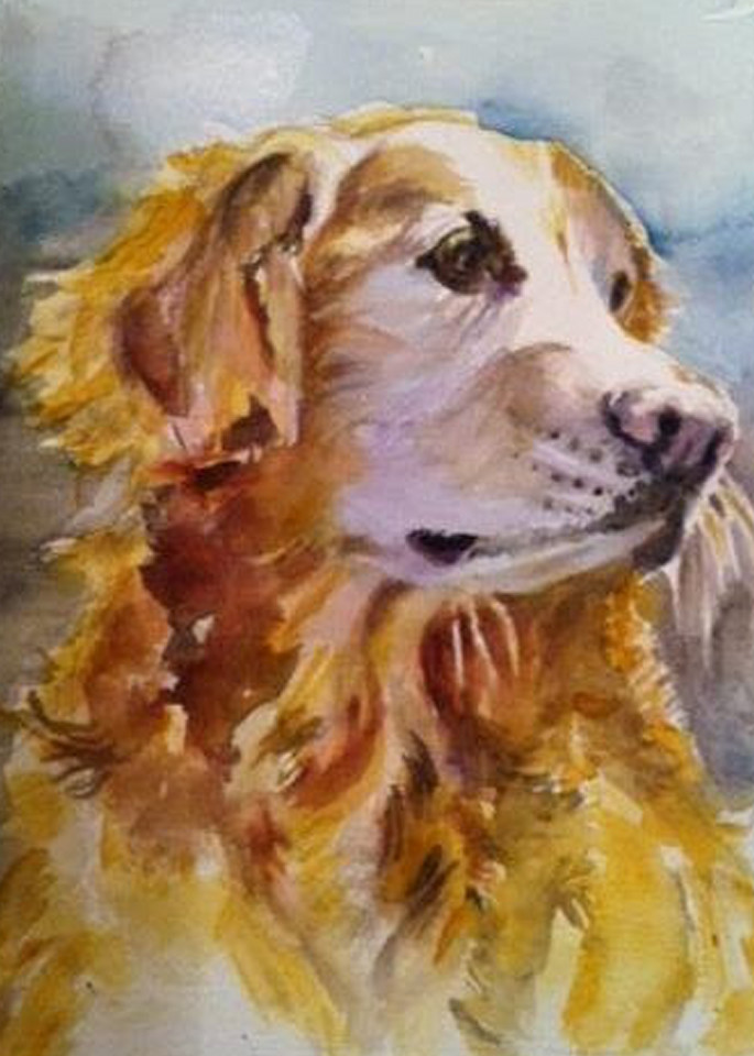 Golden Retriever Portrait Art | Patricia Carol Meccia Fine Art