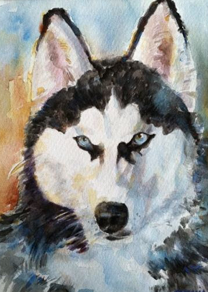 Husky Painting