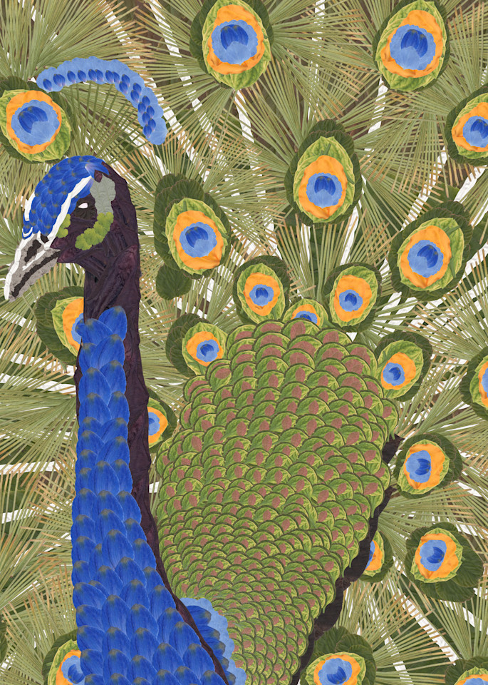 Peacock Art | smacartist