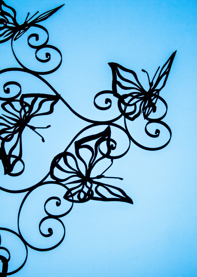 Butterflies & Swirls