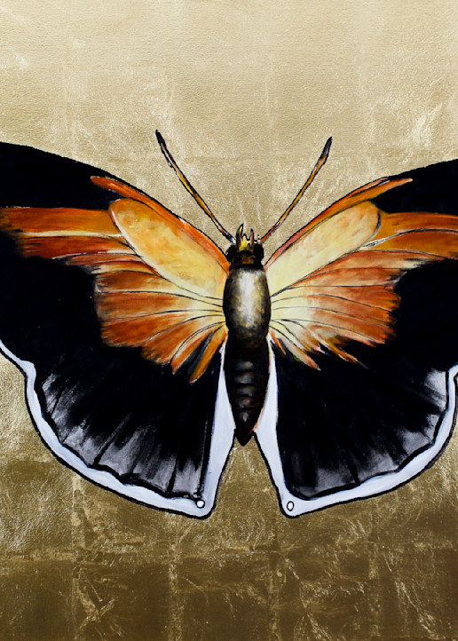 Golden Butterfly Art | Brad Marr