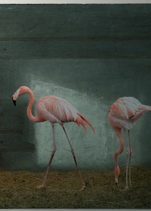 Flamingeaux Hilton Photography Art | ann george photography