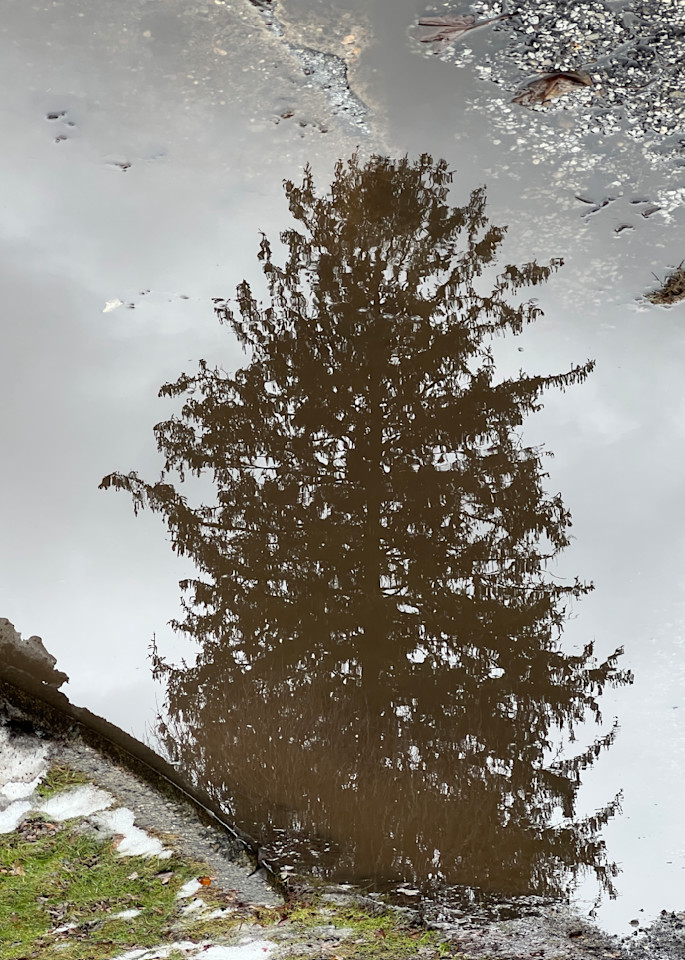 Puddle Puzzle   An Image To Pine For Photography Art | arevolt64