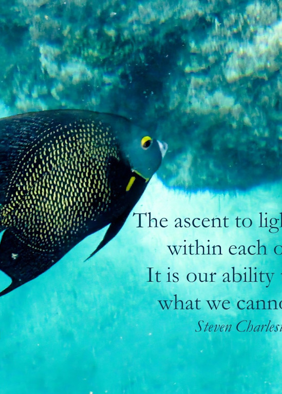 Mexico - Fish Ascending to Light, with quote