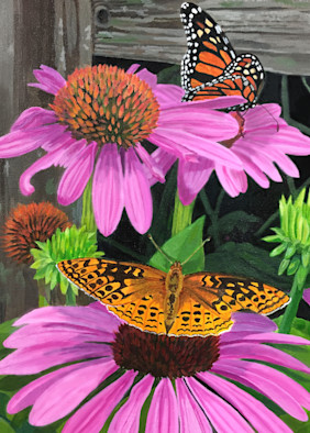 Butterflies At The Coneflower Buffet Art | Judy's Art Co.