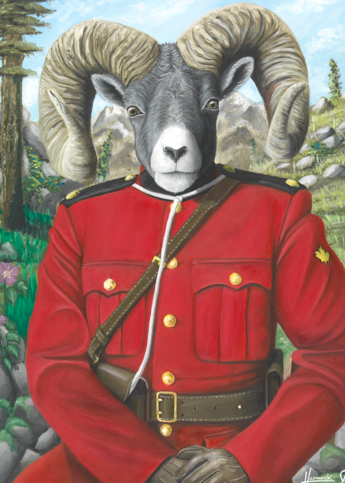 RCMP Bighorn Sheep