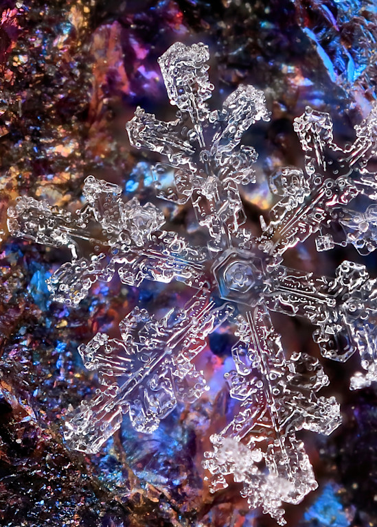 Snowflake On Choco Pyrite / Peacock Ore Photography Art | Real Snowflake Photography LLC