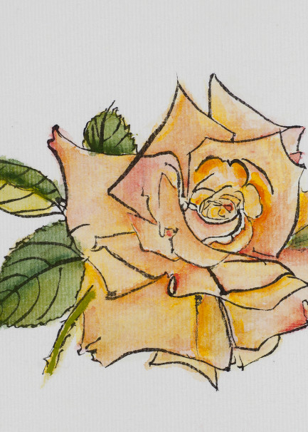 Yellow Rose Art | Sabra's Art
