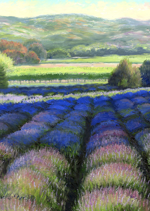 Lavender Vines   Matanzas Creek Art | Oilartist - Haeffele Fine Art