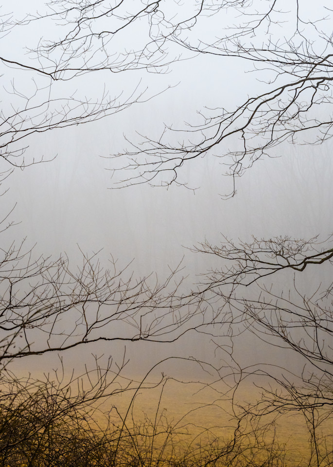 Foggy Morning On Wormwood Photography Art | Kim Bova Photography