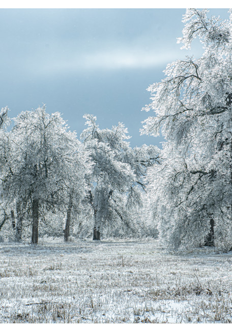 Clymer Meadow Preserve In Winter Photography Art | Justin Parker Nature Photography
