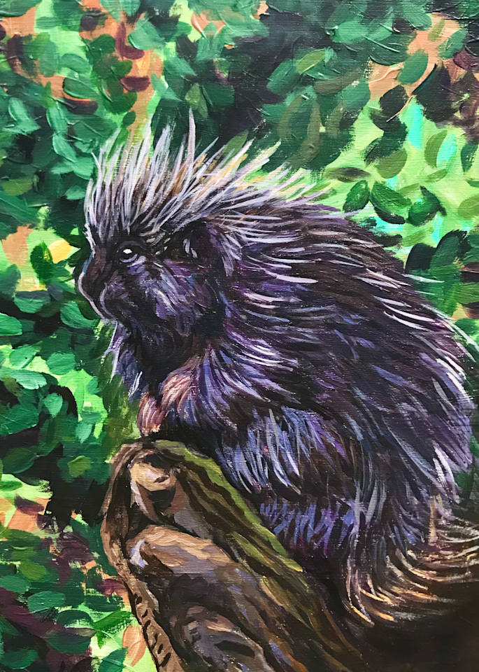 Porcupine Chillin’ Art | Amanda Faith Alaska Paintings / Estuary Arts, LLC