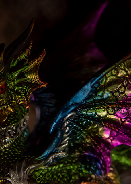 Sassy Dragon by Nathan McDaniel Photography