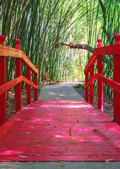 Ridge Bridge and Bamboo at Kanapaha Gardens in Gainesville, FL Fine Art Print