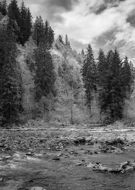 Across the River, Into the Forest, Snoqualmie River, Washington, 2022
