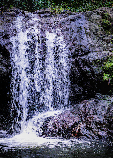 Puerto Rico Hidden Waterfall 