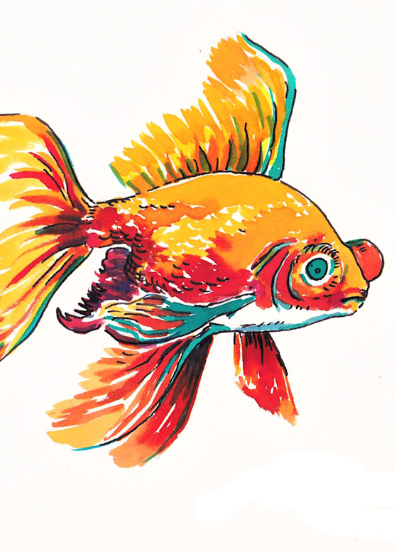 Goldfish #4 Art | jasonhancock