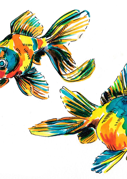 2 Goldfish #1 Art | jasonhancock