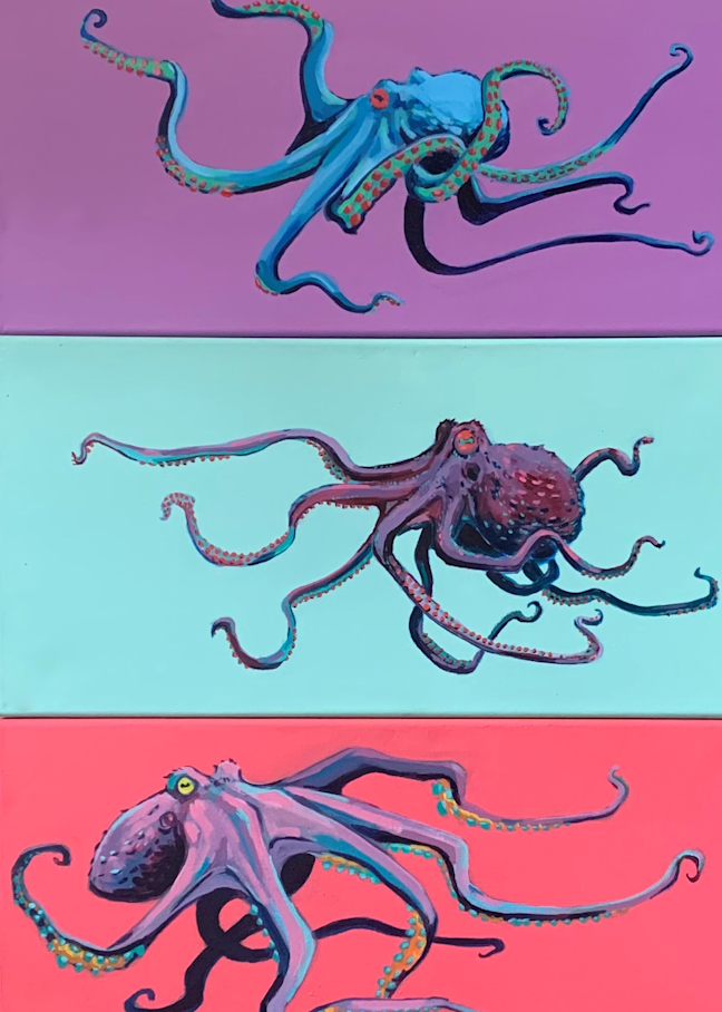 Octopus Triptych Art | jasonhancock