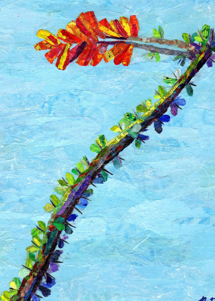 The Splendid Ocotillo Art | Poppyfish Studio