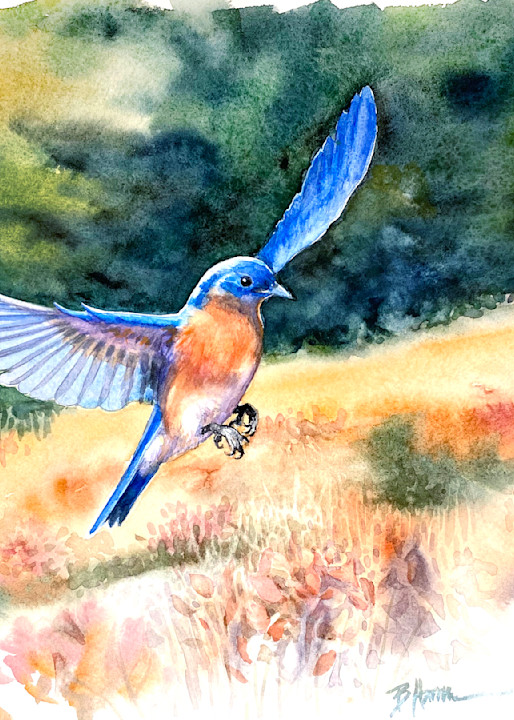 Eastern Bluebird Watercolor Print