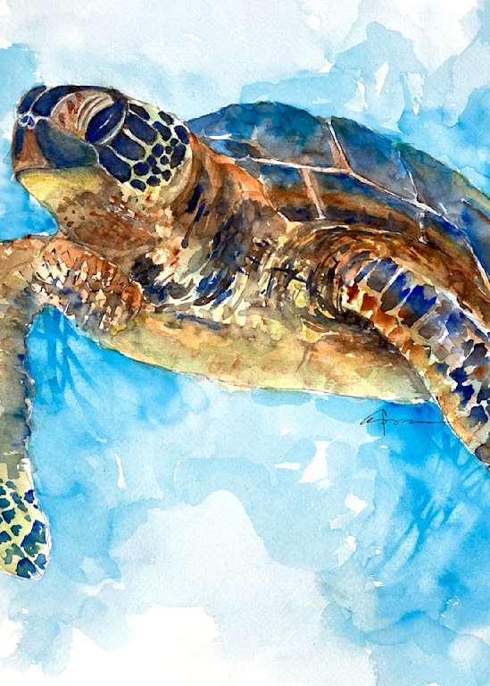 Sea Turtle 33 Art | Claudia Hafner Watercolor