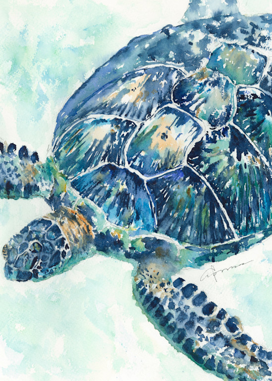 Sea Turtle 8a Watercolor Print | Claudia Hafner Watercolor