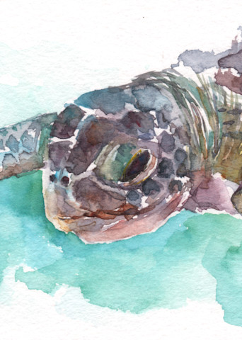 Sea Turtle 2 Watercolor Print | Claudia Hafner Watercolor