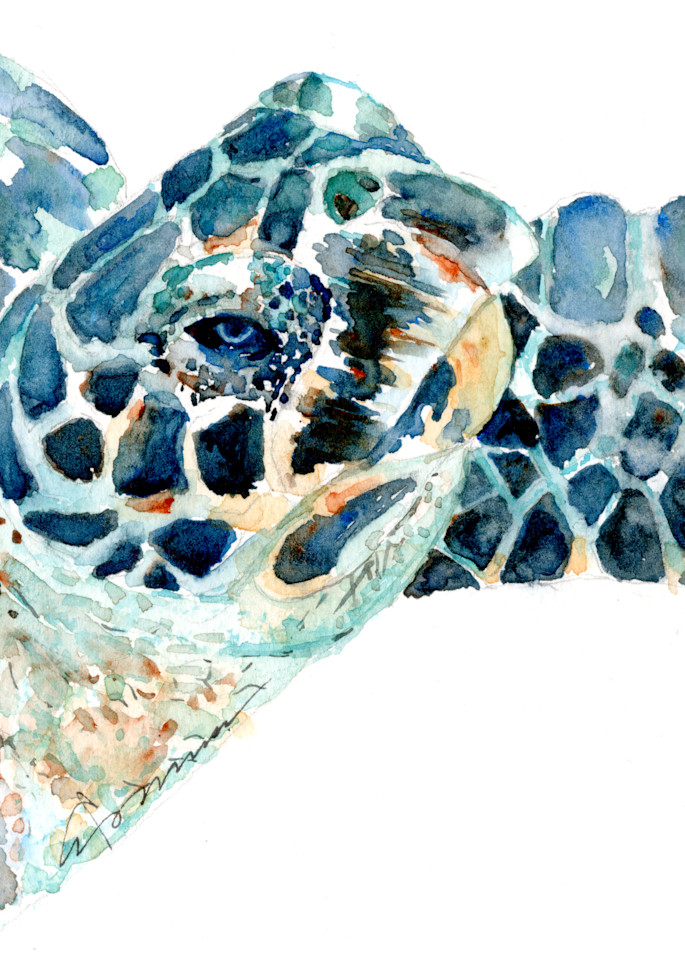 Sea Turtle 16 Watercolor Print | Claudia Hafner Watercolor
